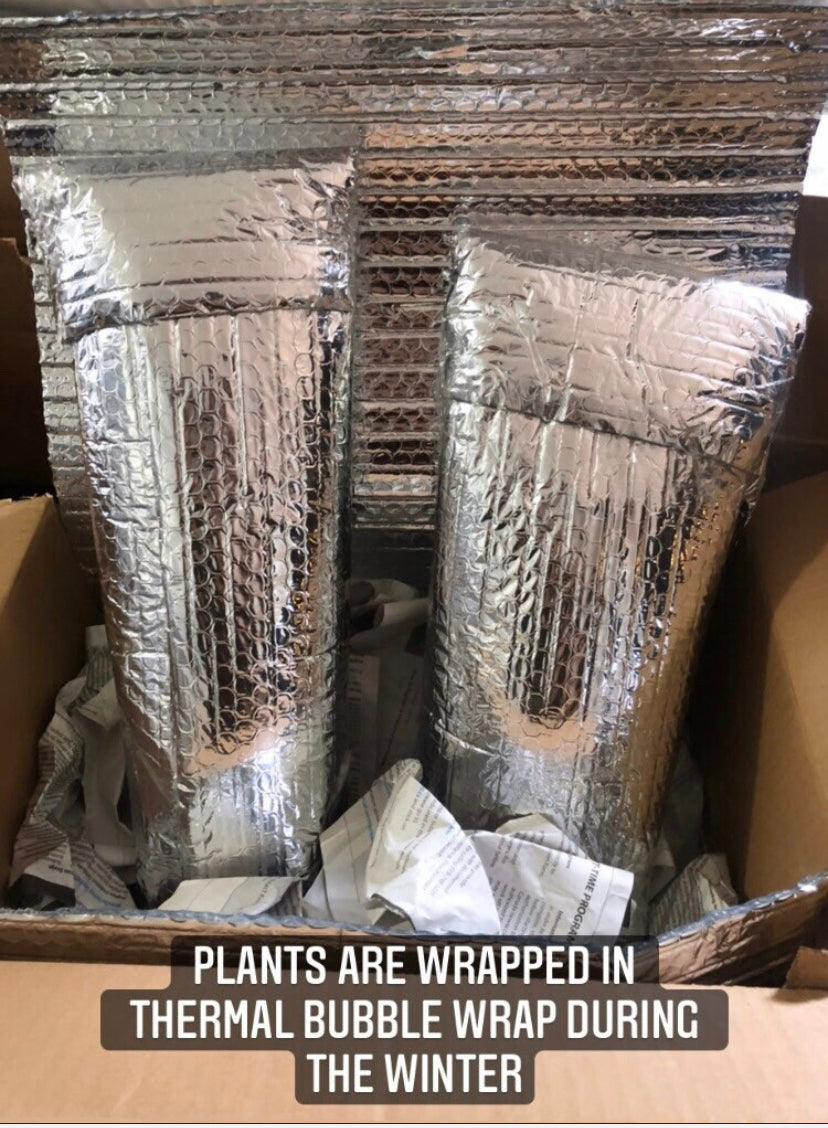 Heat Pack & Thermal Wrap