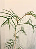 Philodendron Tortum 33” tall