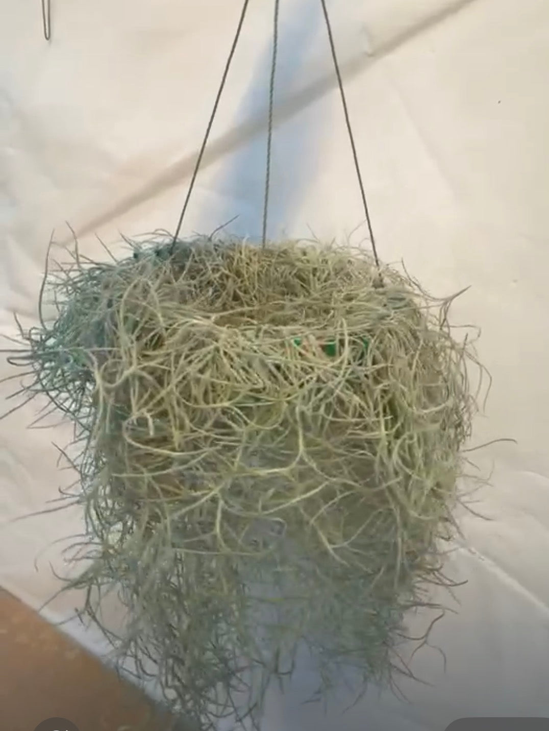Spanish Moss Large Ring Basket
