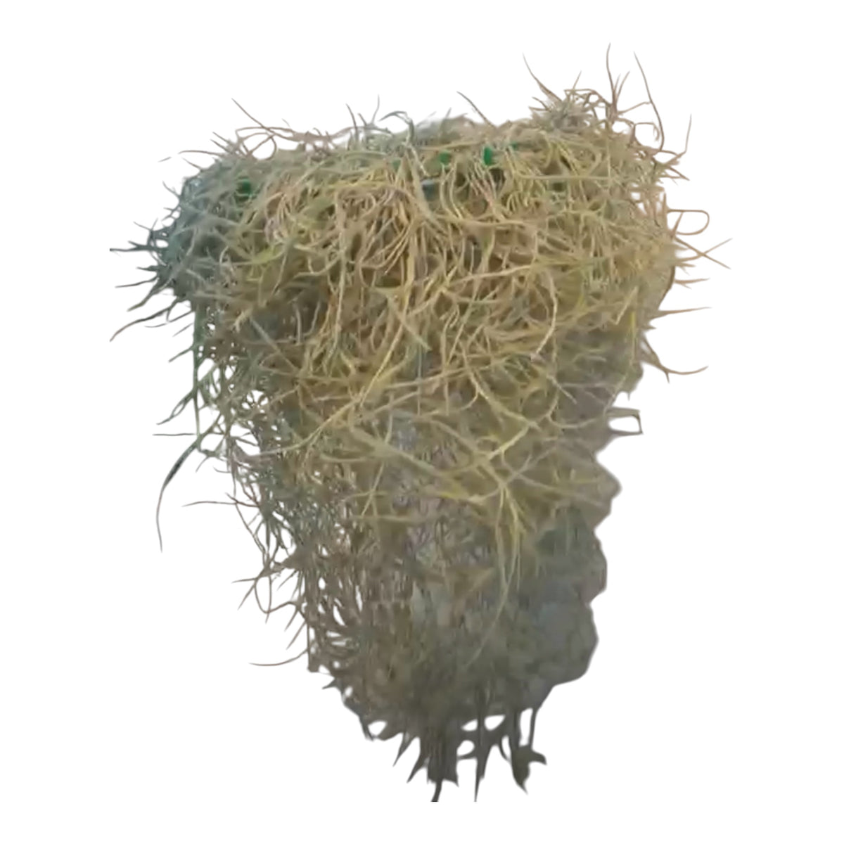 Spanish Moss Large Ring Basket